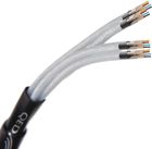 QED XT25 Bi-Wire (10 m)