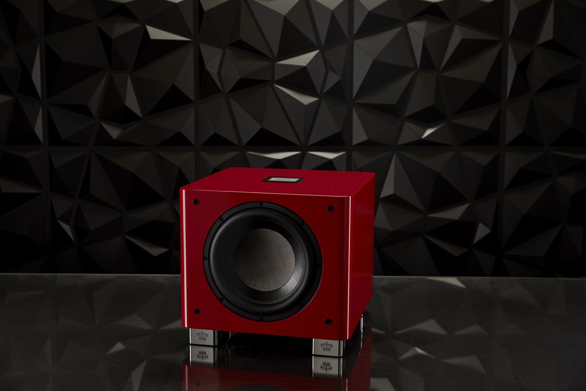 Haut-parleur du caisson REL Acoustics T/9x SE Haut-parleur du caisson REL Acoustics T/9x SE