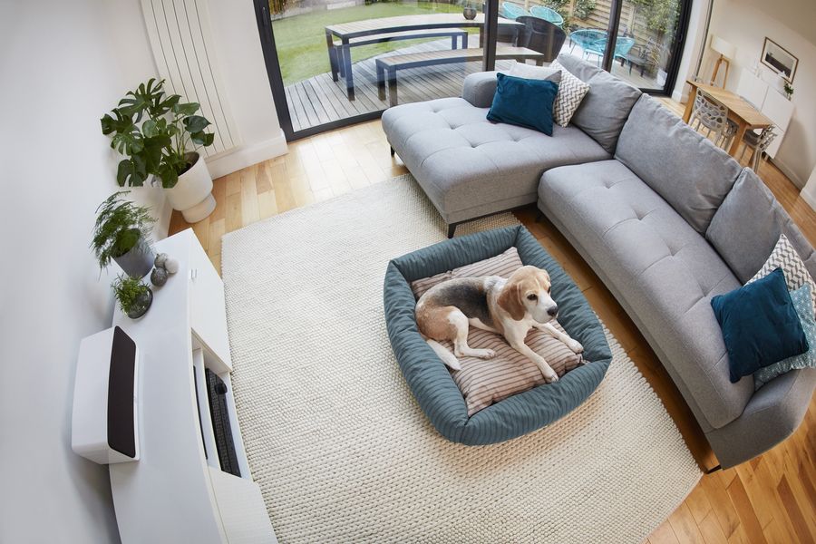 Parfaite pour garder un œil sur les animaux, la caméra de surveillance Ring Indoor Camera (2ᵉ génération) permet de voir l'activité des chiens et des chats en temps réel. La caméra de surveillance Ring Indoor Camera (2ᵉ génération) permet de garder un œil sur les animaux.