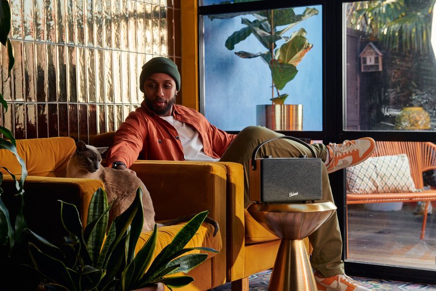 Compatible Amazon Alexa