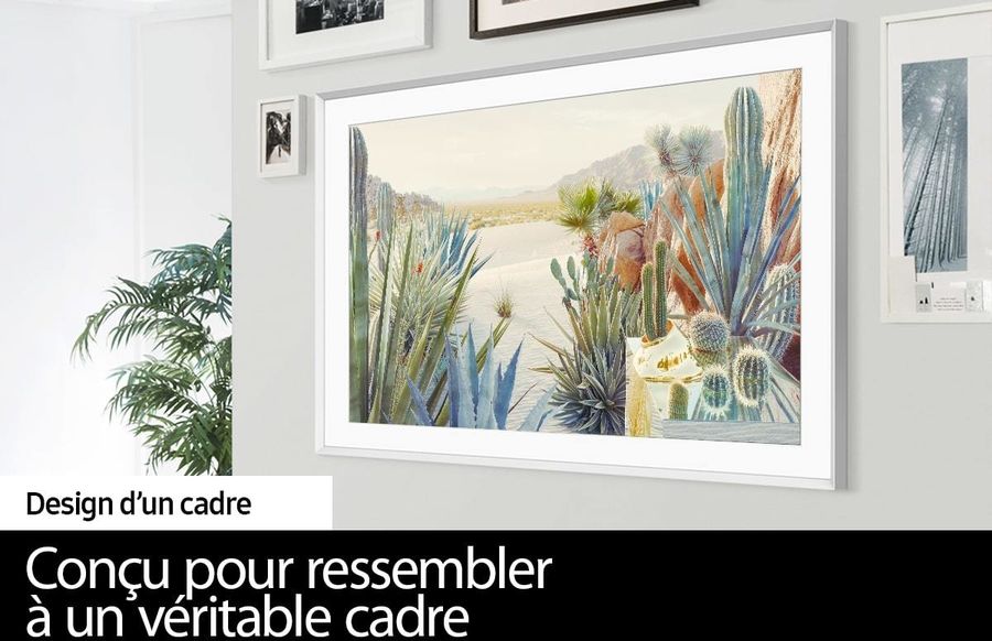 Samsung The Frame QLED 75"  : mode Art
