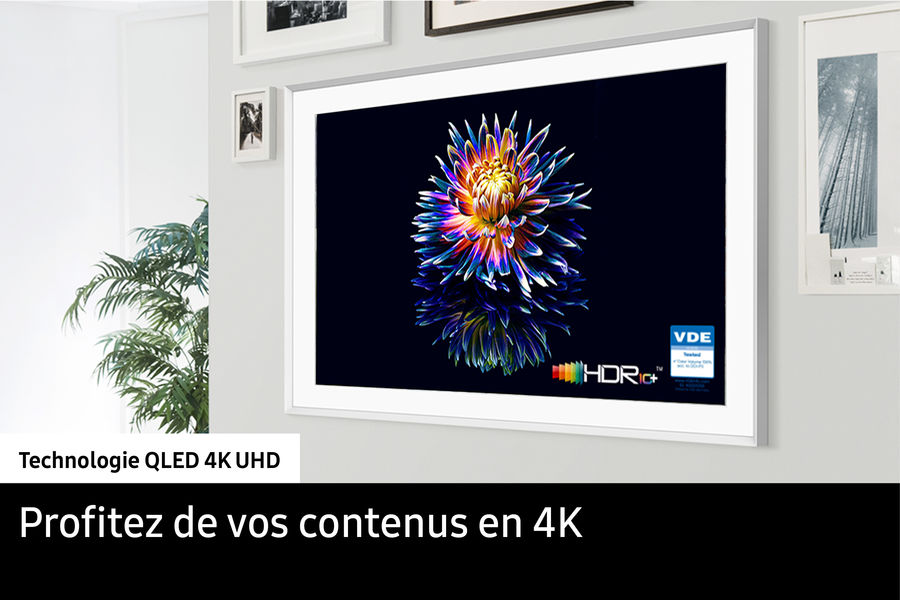  Samsung The Frame TQ43LS03B : un véritable tableau