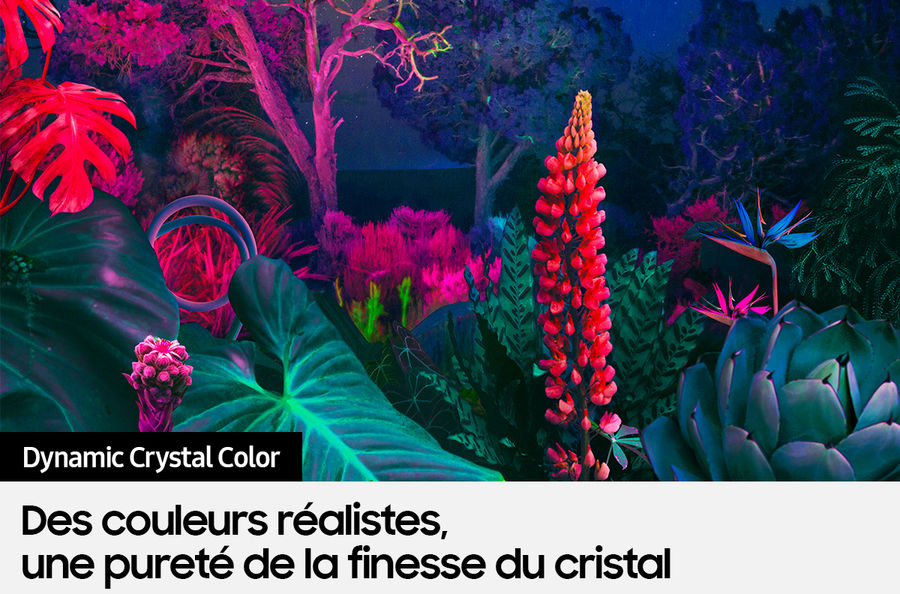 Samsung TU43CU8005 : Dynamic Crystal Color