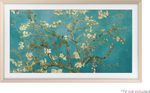 Samsung Cadre The Frame 55" (2023)