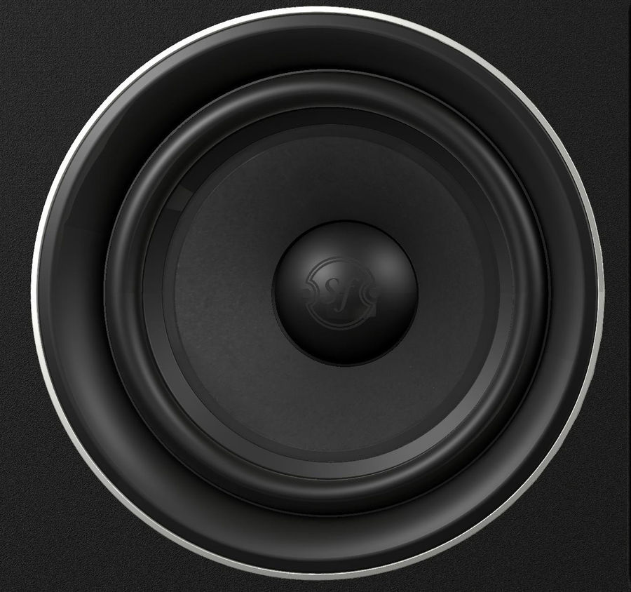 Sonus Faber Palladio PL-664, vue de détail haut-parleur