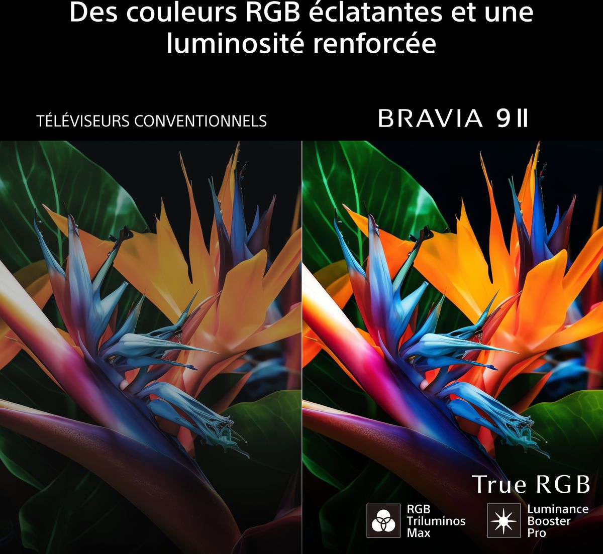  Sony 85 Bravia 9 II True RGB 