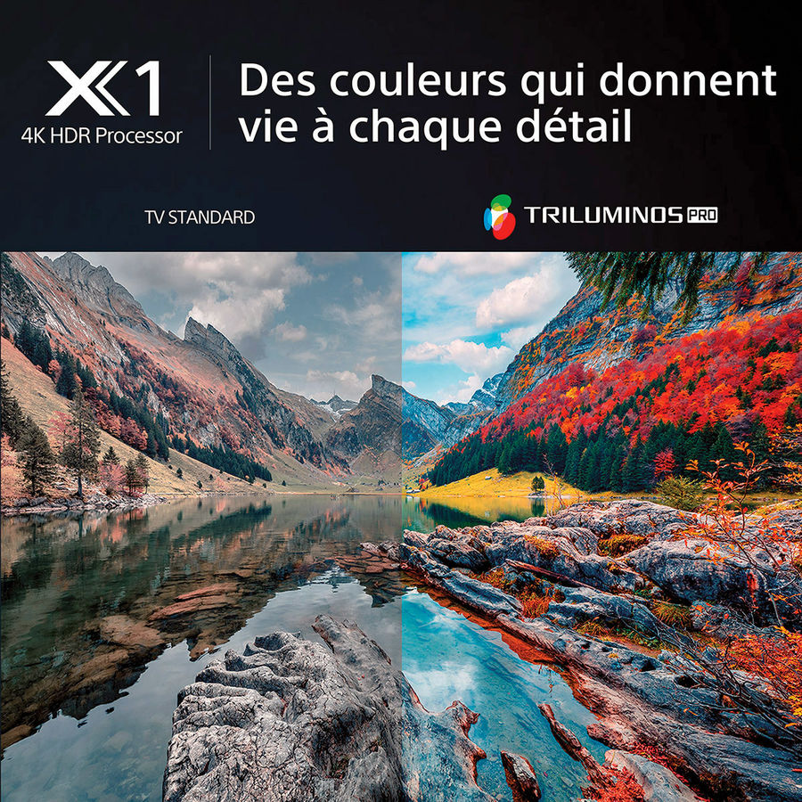 Sony KD-65X80L : Processeur X1, Triluminos Sony KD-65X80L : Processeur X1, Triluminos