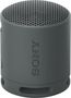 Sony SRS-XB100
