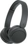 Sony WH-CH530