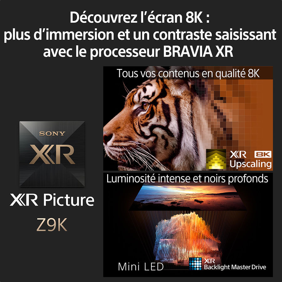 Cognitive Processor XR 