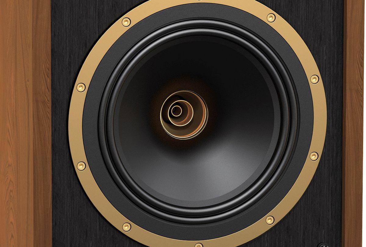 Haut-parleur de l'enceinte Tannoy SGM 10