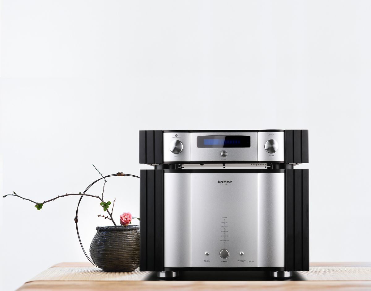 Ampli de puissance Tonewinner AD-1PA+