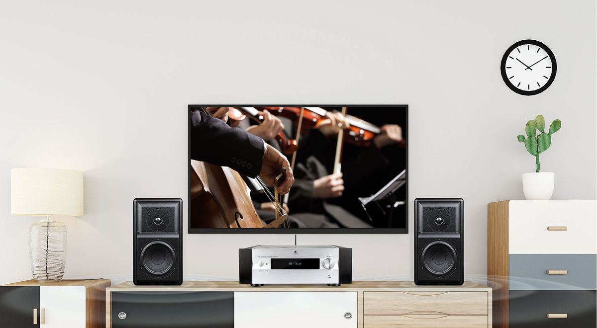 Ampli stéréo Tonewinner AD-86D