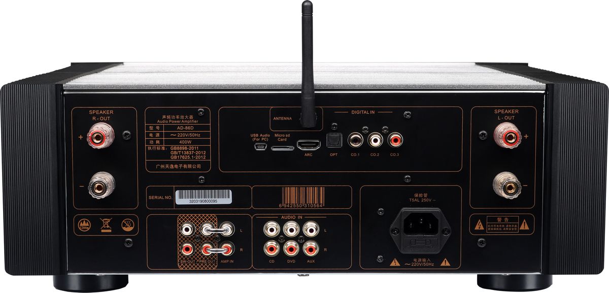 Connectique de l'ampli Tonewinner AD-86D