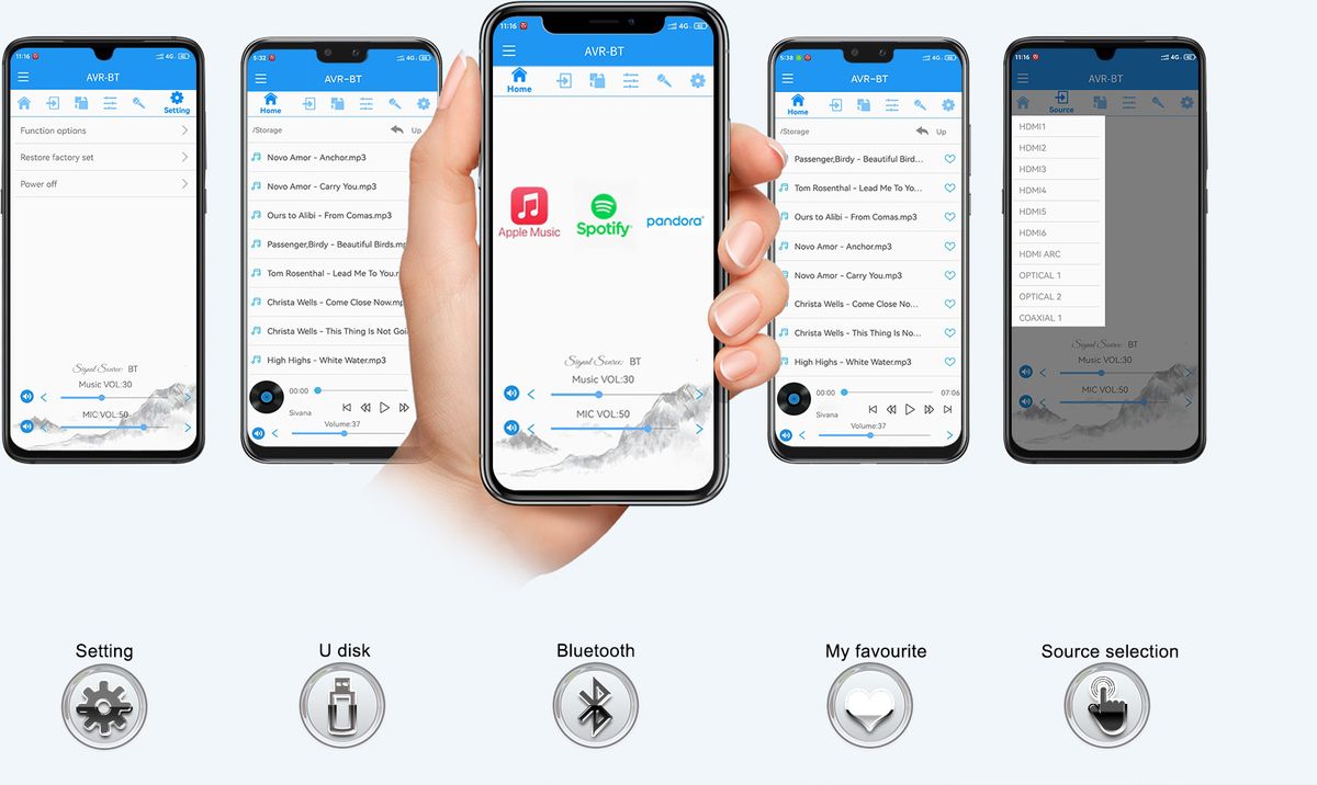 Ampli stéréo Tonewinner AD-99D