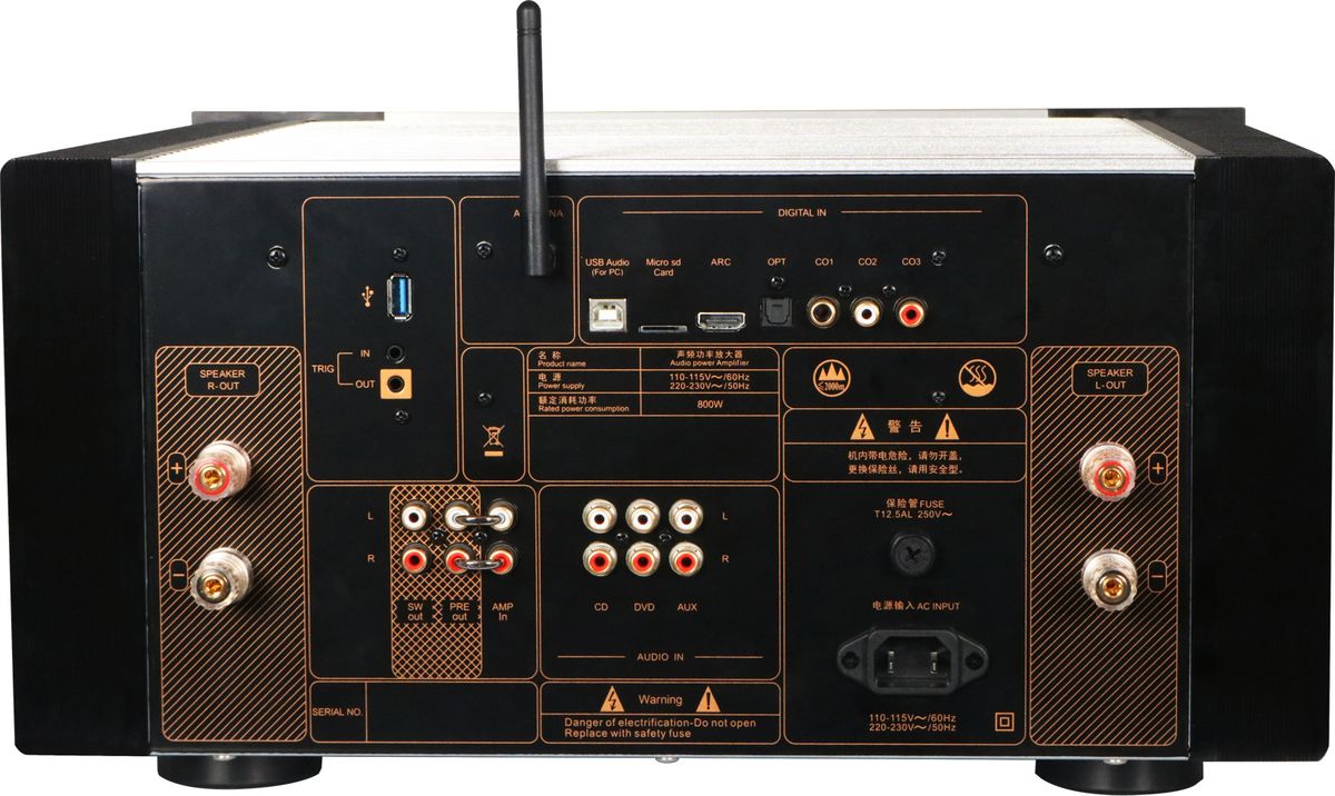 Connectique de l'ampli Tonewinner AD-99D