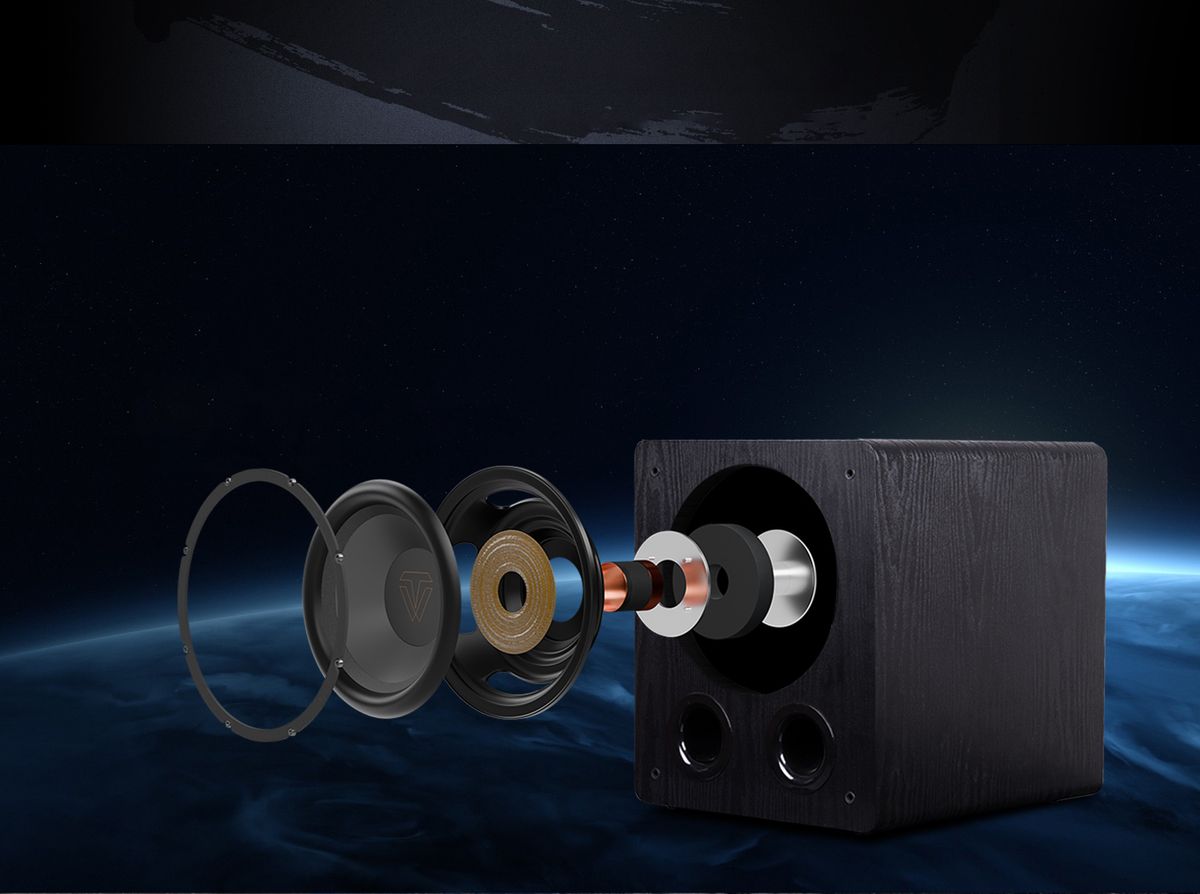 Haut-parleur du caisson Tonewinner SW-D1000