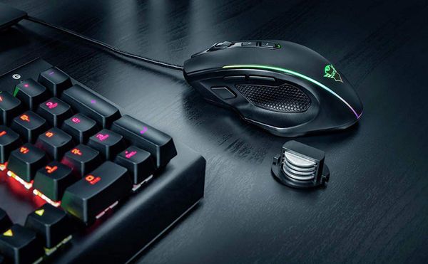 Le poids d’une souris gaming joue sur le contrôle : un modèle léger favorise les mouvements rapides, tandis qu’un modèle plus lourd améliore la stabilité. Certaines souris gaming proposent des réglages modulables pour ajuster le poids et les éléments selon les préférences du joueur.