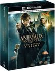 Coffret Les Animaux Fantastiques 1 à 3  (Blu-ray UHD 4K + Blu-ray)