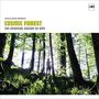 Nicola Conte Presents: Cosmic Forest
