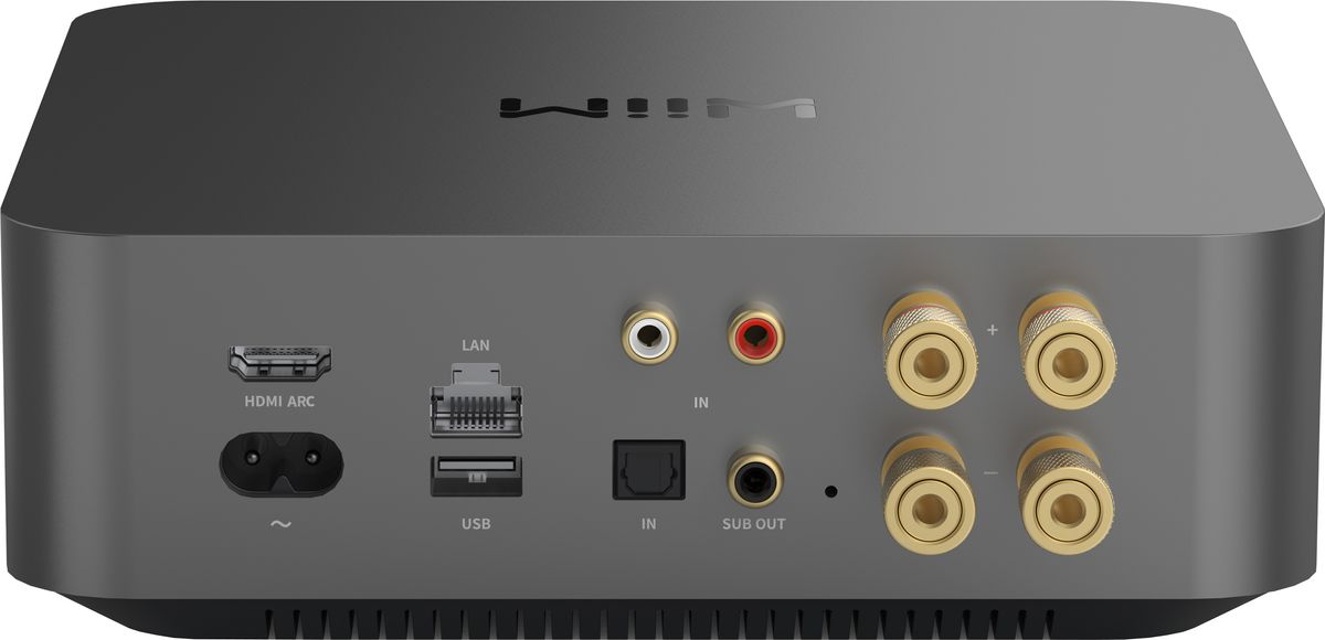 Connectique de l'ampli WiiM Amp Pro
