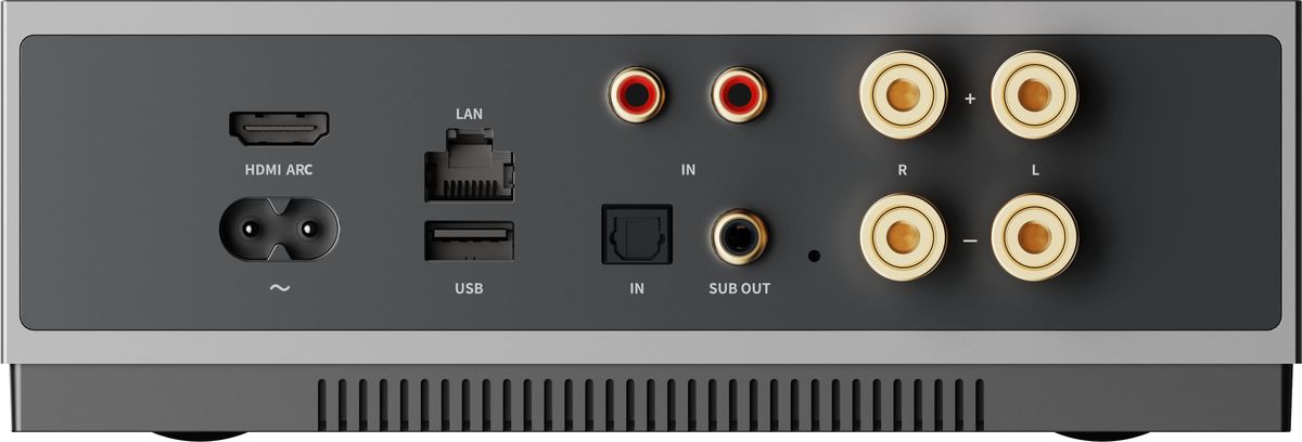 Connectique de l'ampli WiiM CI MOD A80