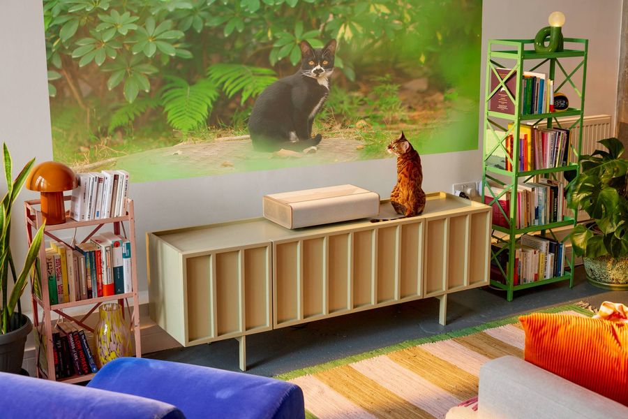 Vid&eacute;oprojecteur 4K ultra courte focale XGIMI MIRA Pro projetant l&rsquo;image d&rsquo;un chat sur le mur d&rsquo;un salon lumineux.