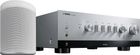 Yamaha R-N1000A Silver + Yamaha MusicCast 20 (WX-021) Blanc