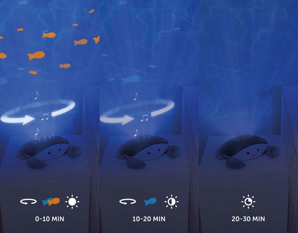 ZAZU Cody le crabe : mise en situation