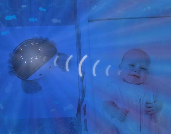 ZAZU Otto la loutre : mise en situation 