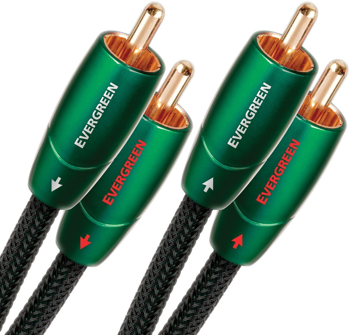 Evergreen RCA (0,6 m) Vue principale