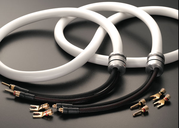 Viard Audio Silver HD20 HP