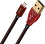 Audioquest Cinnamon USB Lightning