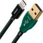 Audioquest Forest USB A vers Lightning