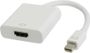 SVD Pro Mini Display port mâle / HDMI femelle