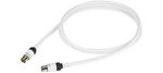 Real Cable TV-2