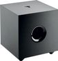 Focal Cub Evo