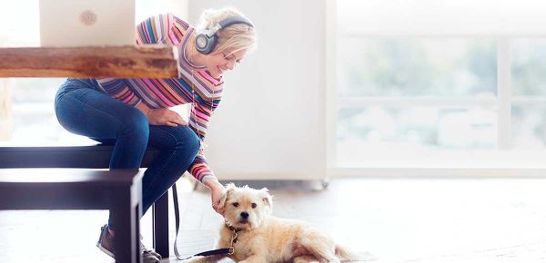 Plantronics BackBeat Pro 2 SE