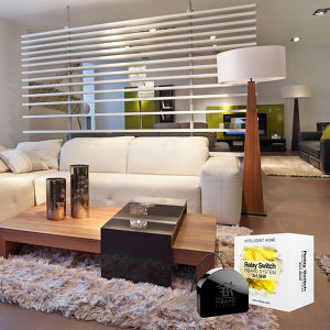 Fibaro Relay Switch (FGS222)