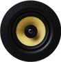 Lithe Audio Passive Ceiling Speaker