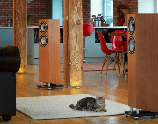 Tannoy Revolution XT6F