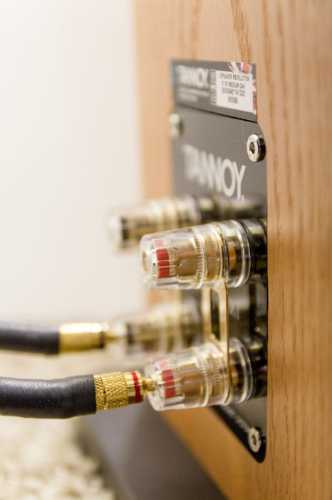 Tannoy Revolution XT6F