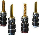 Bananes Viard Audio (lot de 4)