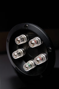 Tannoy Precision bornier 5 voies