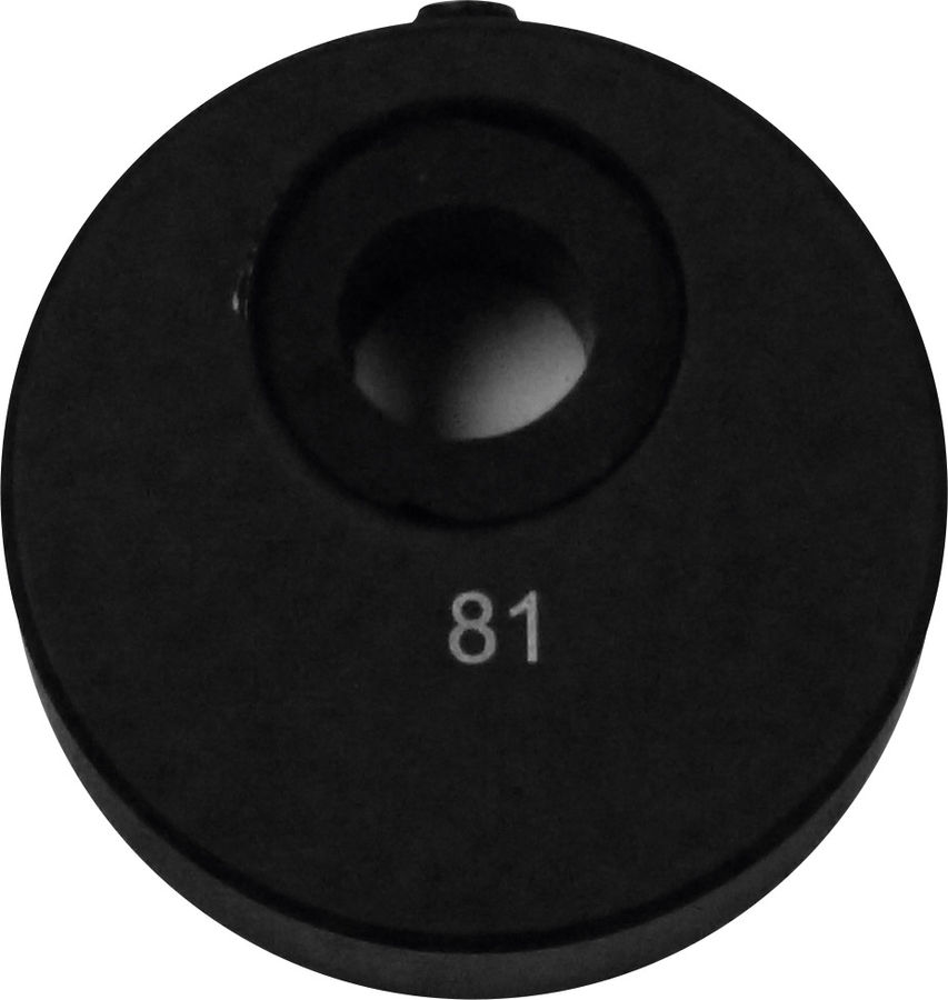 PRO JECT Contre-poids Pro-Ject Contrepoids 81 