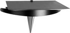 Pro-Ject Wallmount It 3