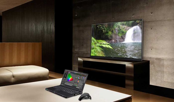 Panasonic TX-55AX900E : image certifi&eacute;e THX 4K Display