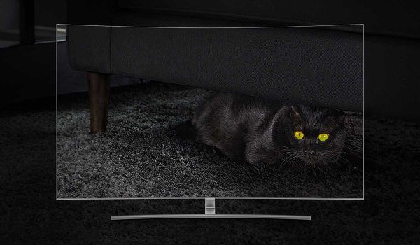 Samsung QLED QE65Q8C