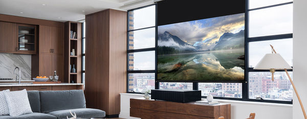 Sony VPL-VZ1000ES