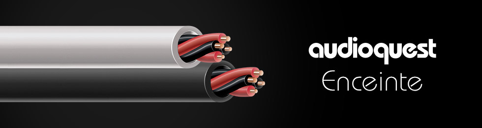 Audioquest Analog Interconnects Câbles enceintes